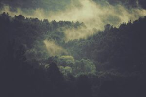 Quisquam recusandae inventore qui dignissimos nobis
