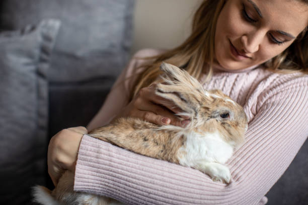 What Pet Is Best for Busy Families?