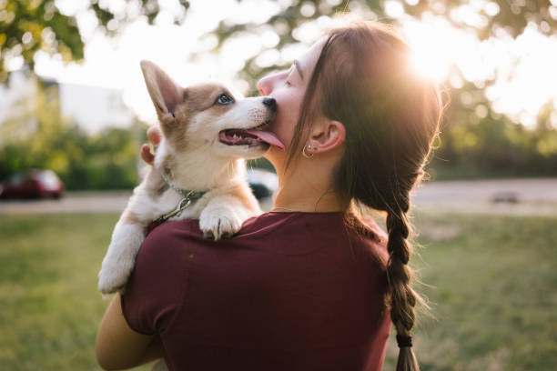 First Time Dog Owner Mistakes That Cost Thousands in Vet Bills