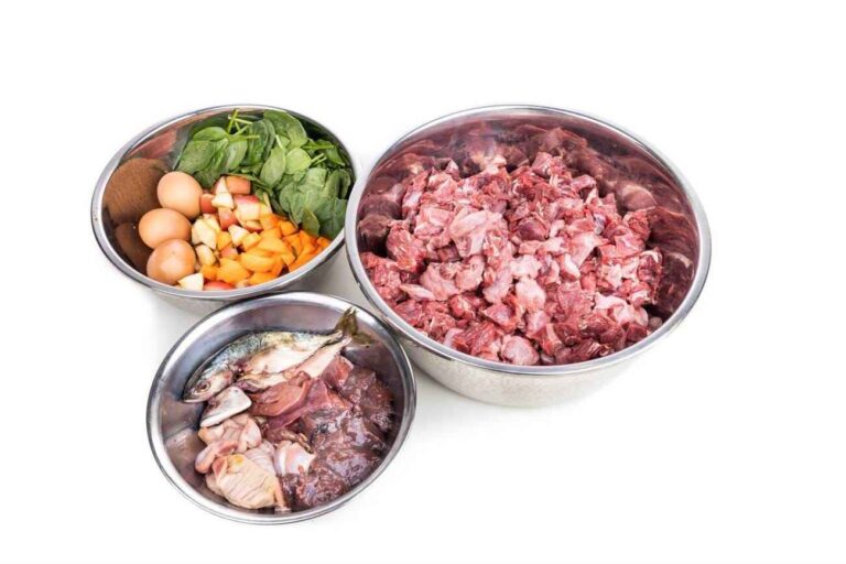 Homemade Dog Food Recipes for Dogs with Sensitive Stomachs