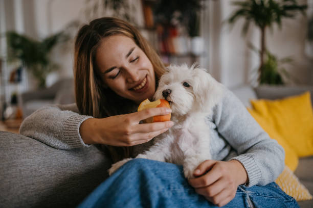 Can Dogs Eat Apples? Safe Fruits & Dangerous Foods List