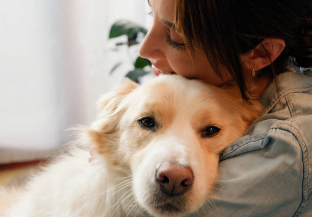 Woman holding golden retriever close showing velcro dog behavior - why does my dog follow me everywhere attachment bond